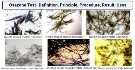 osazone test for carbohydrates.